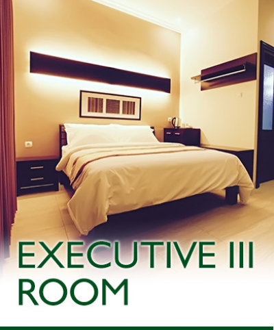 Photo of Executive III Room